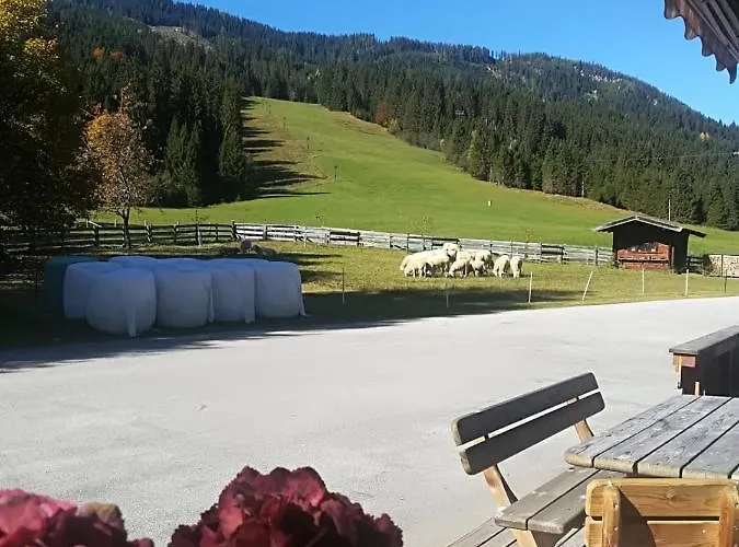 Alojamento de Turismo Rural Walchauhof Flachau