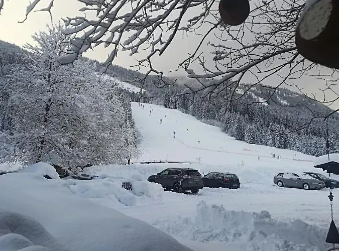 Walchauhof Bauernhof Flachau