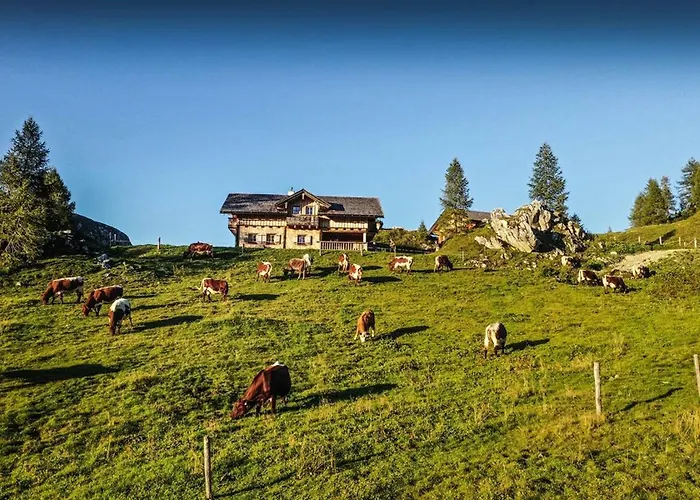 Bauernhof Walchauhof Flachau