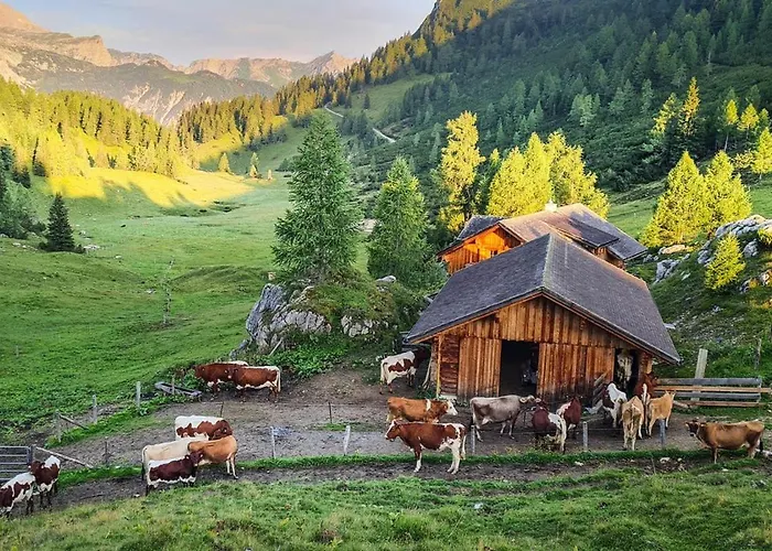 Walchauhof Bauernhof *